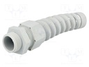 Cable gland; with strain relief; M20; IP68; Mat: polyamide; grey