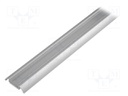 Profiles for LED modules; transparent; surface; L: 1m; aluminium