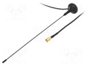 Antenna; GSM; 2dBi; vertical; Mounting: magnet; 50Ω; male,SMA