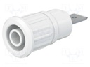 Socket; 4mm banana; 32A; 1kV; white; nickel plated; on panel