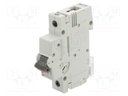 Circuit breaker; 230/400VAC; for DIN rail mounting; Charact: B