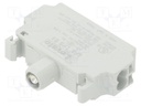 Illuminating unit; 22mm; Platinum; -25÷70°C; Illumin: LED; front