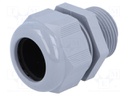 Cable gland; NPT1"; IP68; Mat: polyamide; dark grey