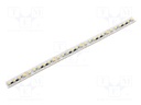 LED tape; white cold; 3528; LED/m: 144; 10mm; white PCB; IP20; 120°