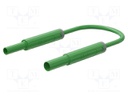 Test lead; 19A; banana socket 4mm,banana plug 4mm; insulated
