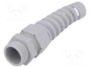 Cable gland; with strain relief; PG16; IP68; Mat: polyamide; grey