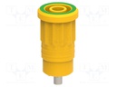 Connector: 4mm banana; socket; 25A; yellow-green; nickel plated
