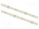 LED tape; white cold; LED/m: 144; 8mm; IP20; 5.5W/m; CRImin: 80