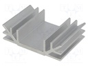 Heatsink: extruded; U; L: 50mm; W: 70mm; H: 19mm; aluminium
