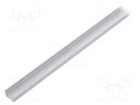 Profiles for LED modules; surface; natural; L: 1m; aluminium