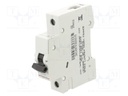 Circuit breaker; 230VAC; Inom: 10A; Poles: 1; Charact: B; 6kA; IP20