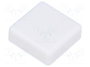 Button; square; white; Application: TACTS-24; 12x12mm