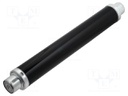 Fuse: fuse; 50A; 10kV; industrial; Imin.break: 170A