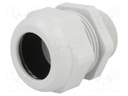 Cable gland; with long thread; M40; IP68; Mat: polyamide; UL94V-0