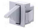 Switch: door; Pos: 2; SPDT; 5A/250VAC; Leads: 4,8x0,5mm connectors