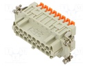 Connector: HDC; contact insert; female; CSH; PIN: 32; 32+PE; 16A