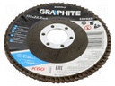 Flap grinding wheels; Ø: 115mm; Øhole: 22.2mm; Granularity: 60