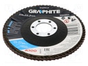 Flap grinding wheels; Ø: 115mm; Øhole: 22.2mm; Granularity: 100