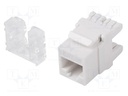 RJ45 module; white; Cat: 6; on cable; RJ45 socket; -10÷60°C; 36V