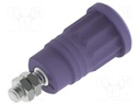 Connector: 4mm banana; socket; 36A; violet; nickel plated; M4; 34mm
