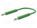 Test lead; 60VDC; 30VAC; 19A; banana plug 4mm,both sides; Len: 1m