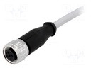 Plug; M12; PIN: 5; female; A code-DeviceNet / CANopen; 5m; straight