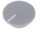 Cap; plastic; push-in; grey; Application: K21