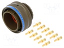 Connector: circular; D38999 series I; plug; male; PIN: 11; crimped