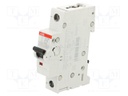 Circuit breaker; 230VAC; 220VDC; Inom: 10A; Poles: 1; Charact: B