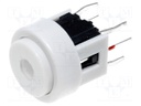 Switch: keypad; Pos: 2; SPST-NO; 0.05A/12VDC; white; Illumin: LED