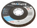 Flap grinding wheels; Ø: 125mm; Øhole: 22.2mm; Granularity: 36