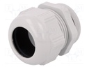 Cable gland; PG36; IP68; Mat: polyamide; light grey