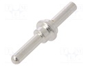 Contact; male; 10mm2; 8AWG; silver plated; crimped; EBC80; 95A