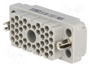 Connector: rectangular; socket; hermaphrodite; Mat: polycarbonate