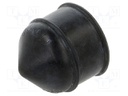 Plunger; 30/55ml; Colour: black; Manufacturer series: QuantX