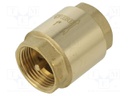 Check valve; G 1" internal; 16bar; brass; Medium: water