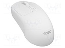 Mouse; white; USB A,USB C; wireless,Bluetooth; No.of butt: 4