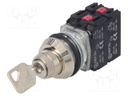 Switch: rotary with key; Stabl.pos: 2; NC x3 + NO; 30mm; silver