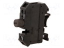 Splice terminal: rail; 0.5÷16mm2; ways: 1; terminals: 2; Width: 12mm