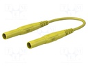 Test lead; 19A; 4mm banana plug-4mm banana plug; insulated
