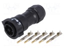 Connector: circular; male; plug; crimped; PIN: 5; 14AWG÷12AWG; IP68