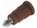 Connector: 4mm banana; socket; 36A; brown; nickel plated; M4; 34mm