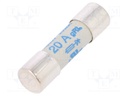Fuse: fuse; gRL,gS; 20A; 600VAC; ceramic,cylindrical; 10,3x38mm
