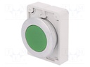 Switch: push-button; Stabl.pos: 1; 30mm; green; none; IP67; Pos: 2