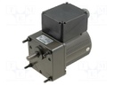 Motor: AC; 1-phase; 25W; 230VAC; 1250rpm; 100rpm; 2.5kg; IP54; 280mA