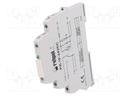 Relay: interface; SPDT; Ucoil: 24VDC; 6A; SPDT; 6A/230VAC; 6A/24VDC