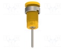 Connector: 4mm banana; socket; yellow-green; nickel plated