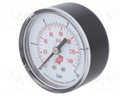 Manometer; Working pressure: 0÷10bar; 50mm; Enclos.mat: plastic