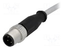 Plug; M12; PIN: 4; male; A code-DeviceNet / CANopen; 2m; straight