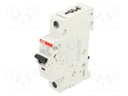 Circuit breaker; 230VAC; 220VDC; Inom: 32A; Poles: 1; Charact: C